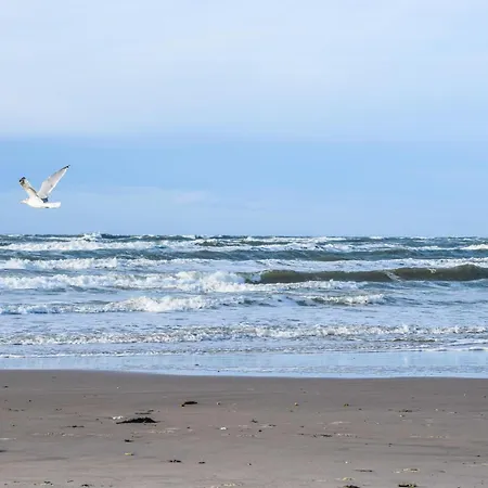 3 Bedroom Amazing In * Pandrup